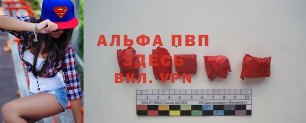 ECSTASY Богородск